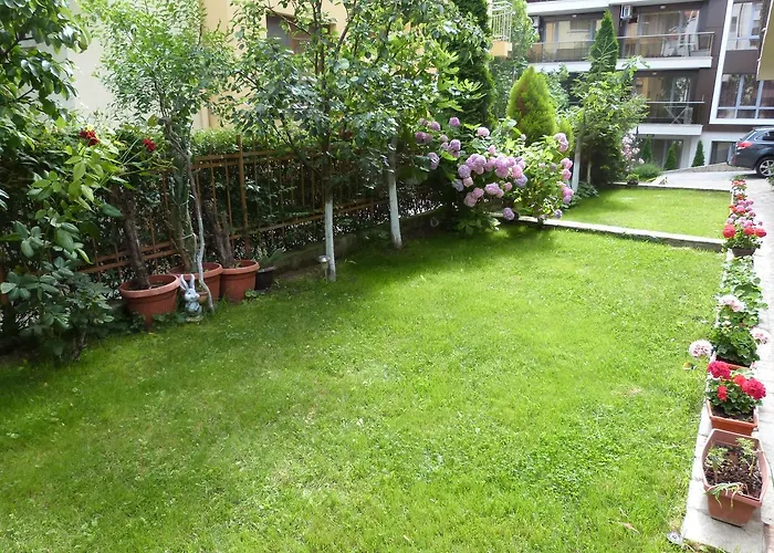 Beroe 3* Светий Влас