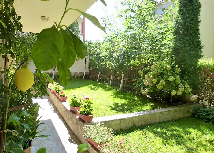 Готель Beroe Светий Влас